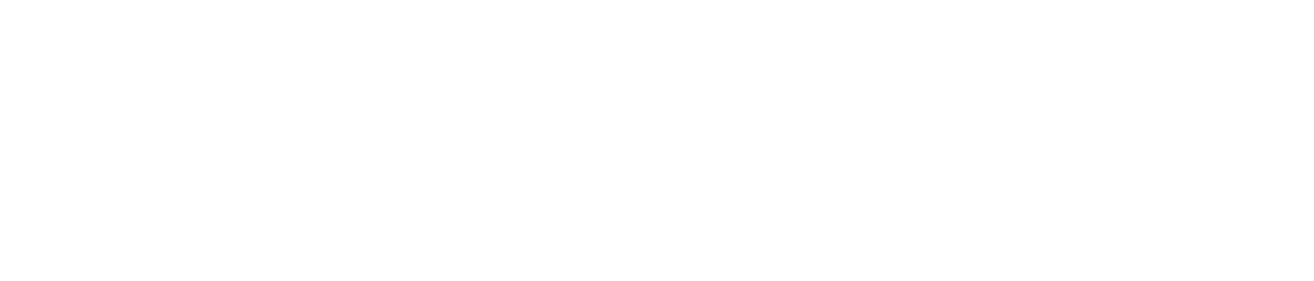logo-footer